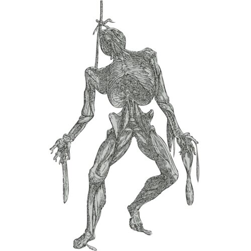 Medical Skull 16 Thumbnail