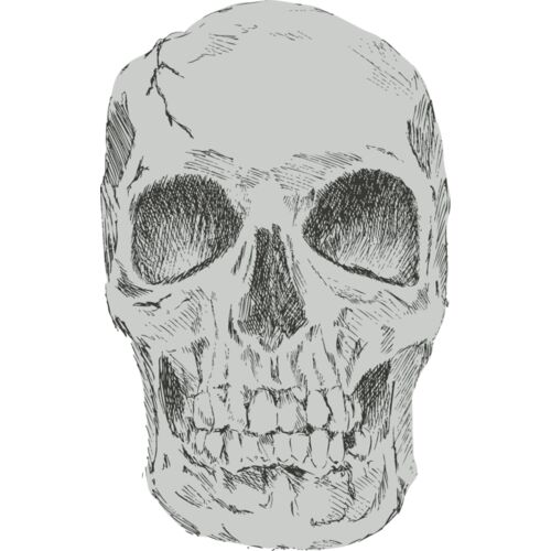 Skulls Hand Drawn 1 Thumbnail