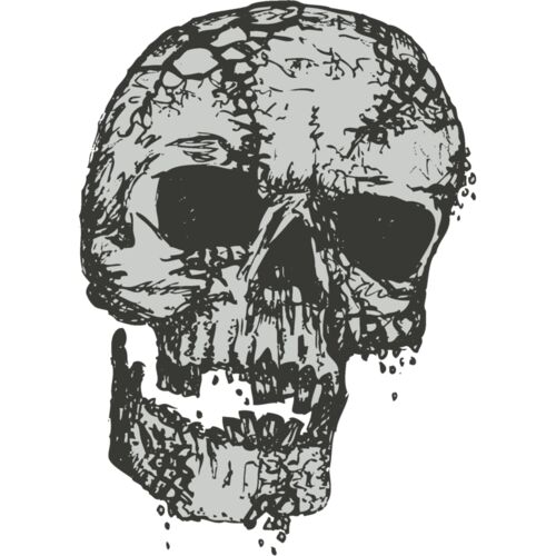 Stylized Skull 8 Thumbnail