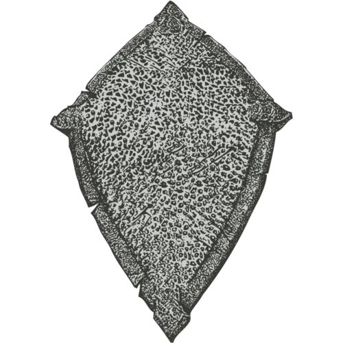 Hand Drawn Shields 33 Thumbnail