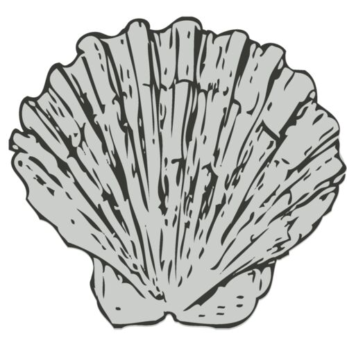 Sealife   sea shell 1 Thumbnail