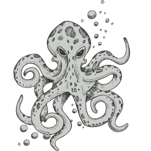 Octopi 3 Thumbnail