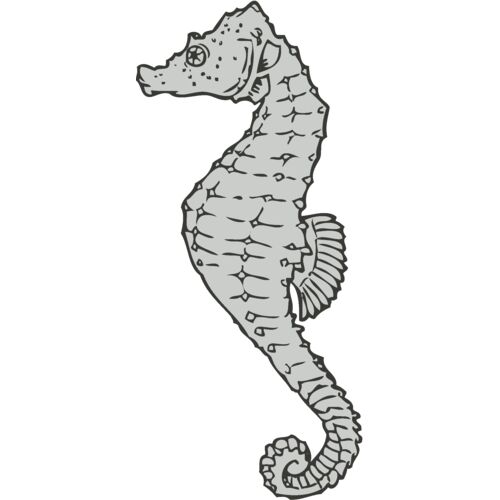Sealife   seahorse Thumbnail