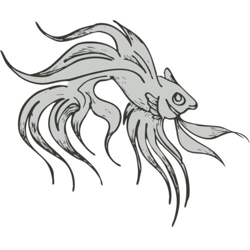 Koi Fish 4 Thumbnail