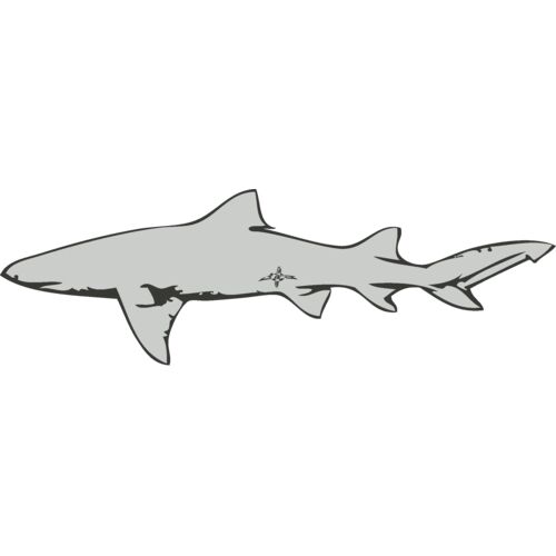 Sealife   shark Thumbnail