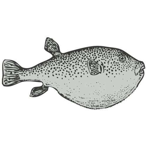 Sealife   fish 3 Thumbnail