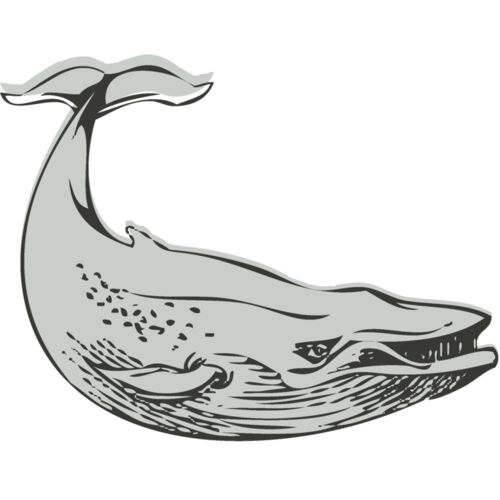 Sealife   whale Thumbnail