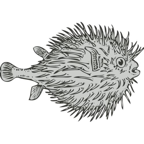 Sealife   blowfish Thumbnail
