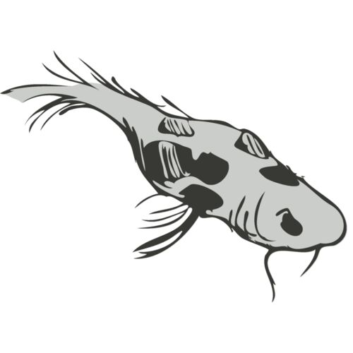 Koi Fish 3 Thumbnail