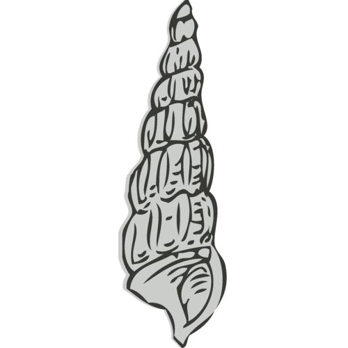 Sealife   sea shell 4 Thumbnail