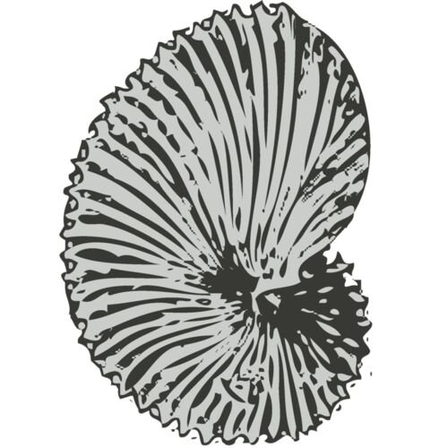 Sealife sea shell 5 Thumbnail