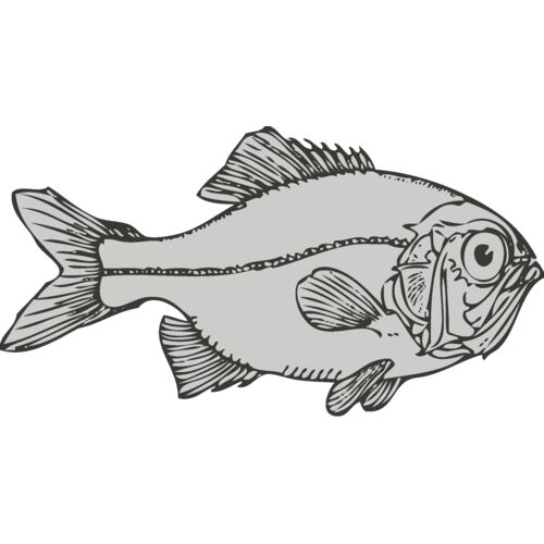 Sealife   fish 4 Thumbnail