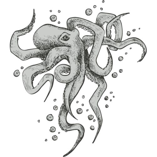 Octopi 2 Thumbnail