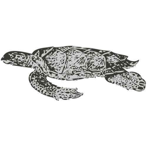 Sealife   sea turtle Thumbnail
