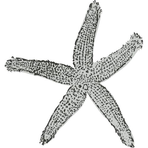 Sealife   starfish Thumbnail