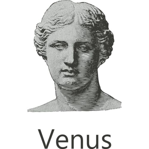 Venus Thumbnail
