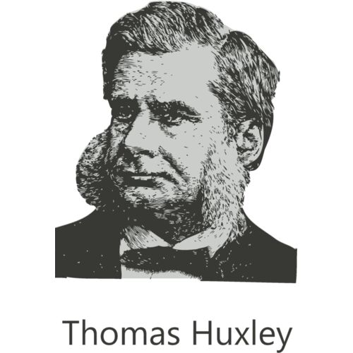 Thomas Huxley Thumbnail