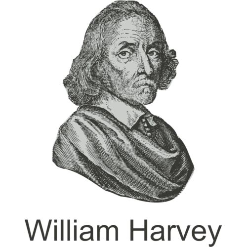 William Harvey Thumbnail