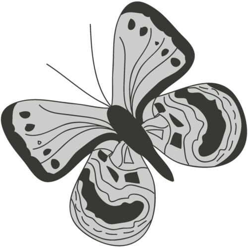 Girly Realistic Butterflies 17 Thumbnail
