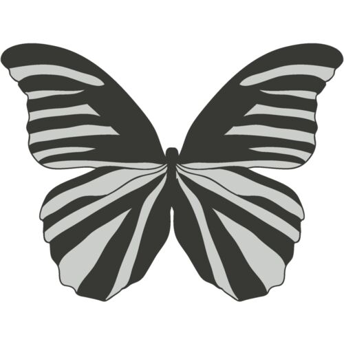 Girly Realistic Butterflies 6 Thumbnail