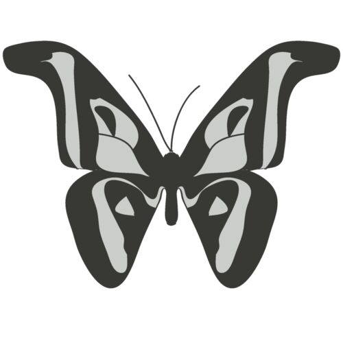 Girly Realistic Butterflies 8 Thumbnail