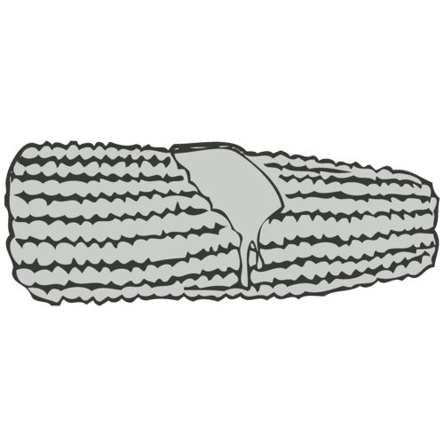 Food 8   Corn on the Cob with Butter Thumbnail