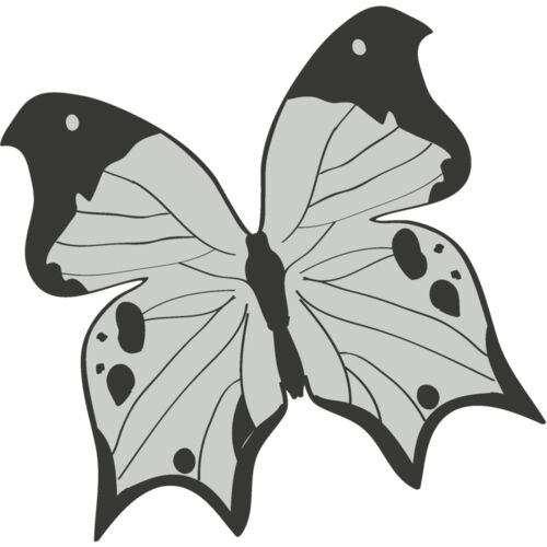 Girly Realistic Butterflies 12 Thumbnail