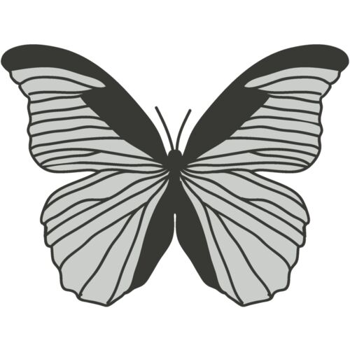 Girly Realistic Butterflies 9 Thumbnail