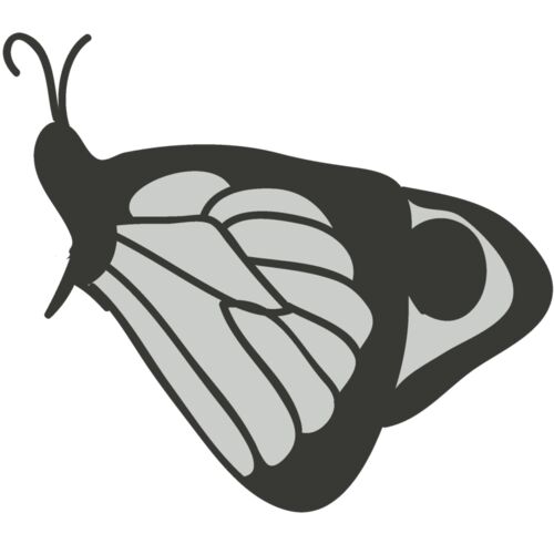 Girly Realistic Butterflies 14 Thumbnail