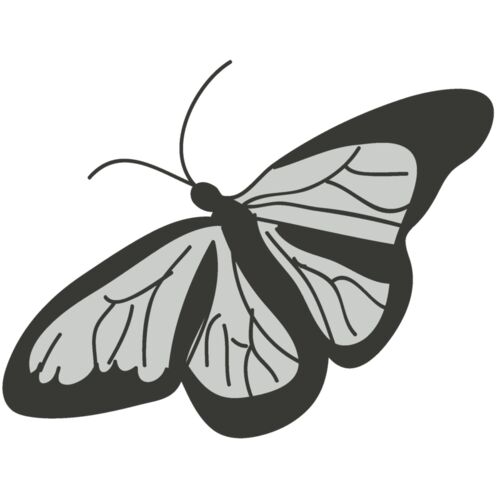 Girly Realistic Butterflies 15 Thumbnail