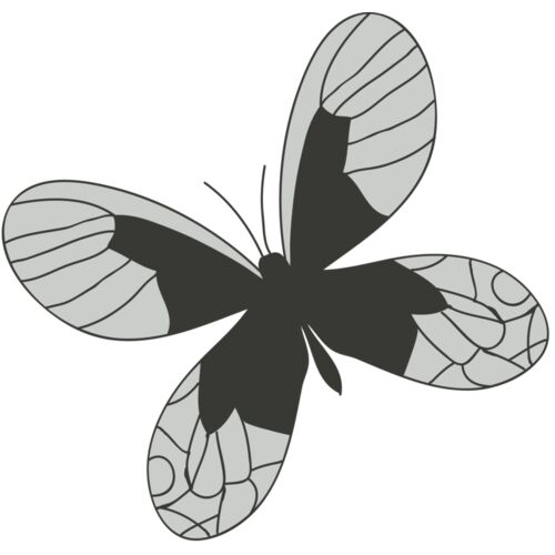 Girly Realistic Butterflies 1 Thumbnail