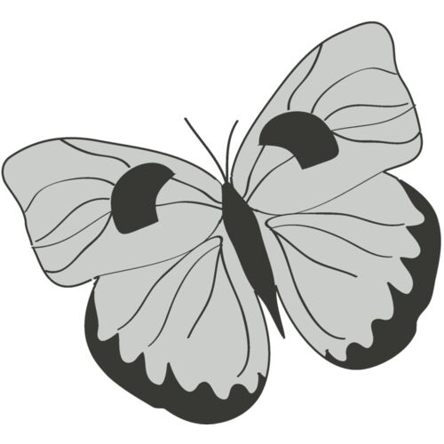 Girly Realistic Butterflies 13 Thumbnail
