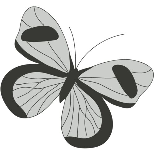 Girly Realistic Butterflies 2 Thumbnail