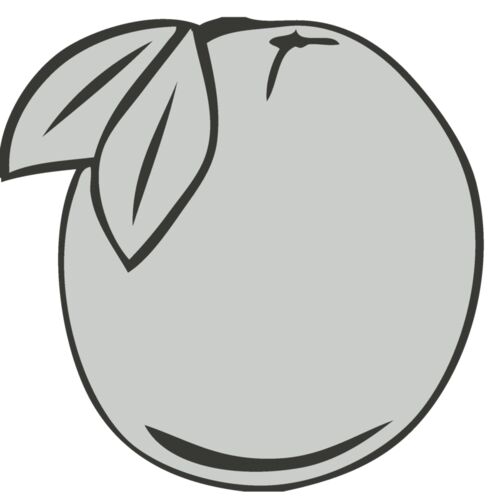 Food 14   Orange Thumbnail