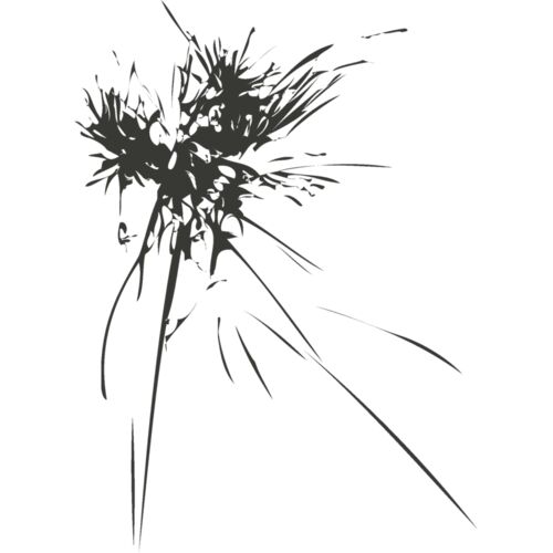 Fireworks 10 Thumbnail