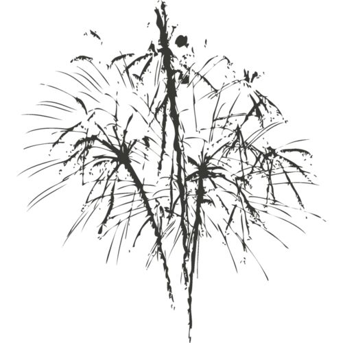 Fireworks 15 Thumbnail