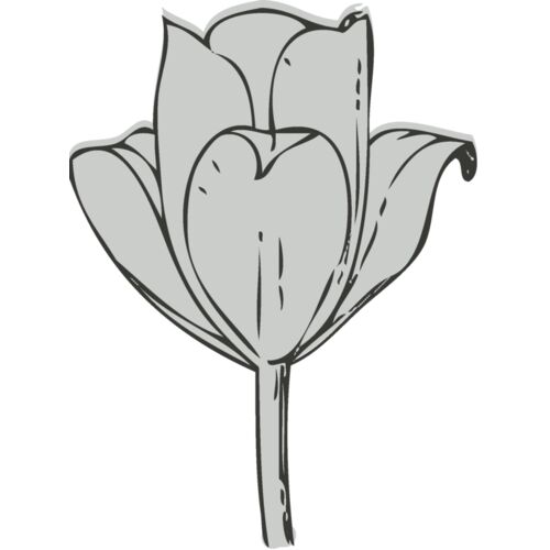 Flower 3 Thumbnail