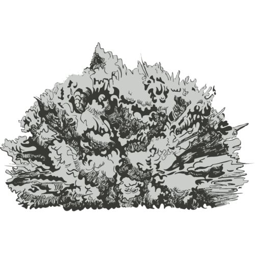 Explosion 21 Thumbnail