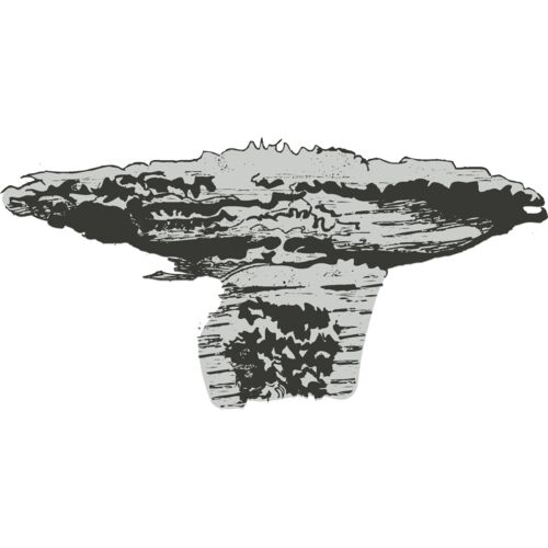 Explosion 22 Thumbnail