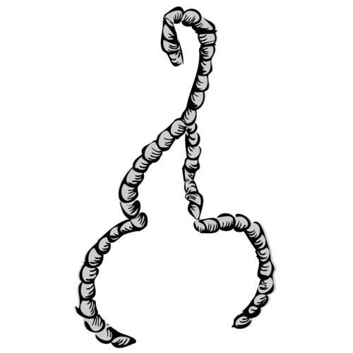 Anchor 60 Thumbnail