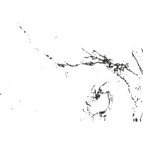 Bullet hole 81 Thumbnail