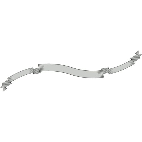 Clean Banner 155 Thumbnail