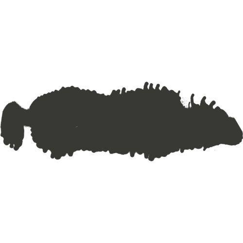 Nets and Splats 13 Thumbnail