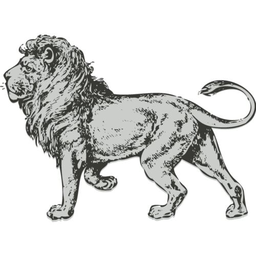 Animals   Lion 2 Thumbnail