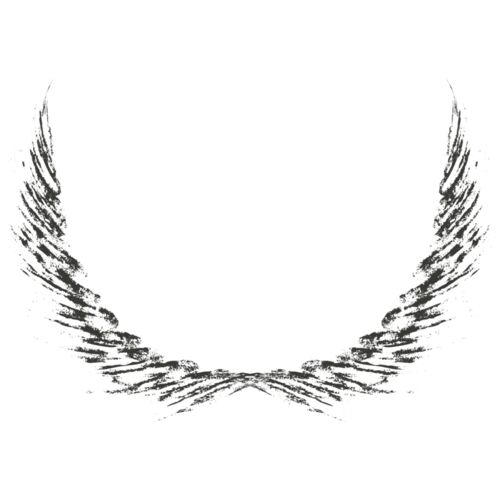 Charcoal Wing 7 Thumbnail