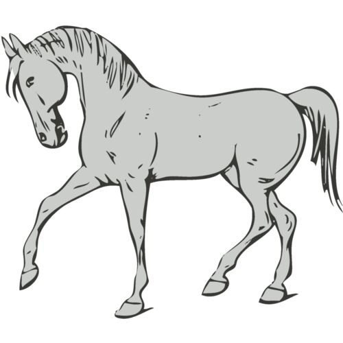 Animals   Horse Thumbnail