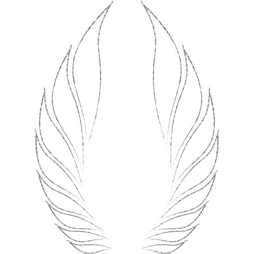 Charcoal Wing 44 Thumbnail