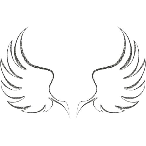 Charcoal Wing 22 Thumbnail