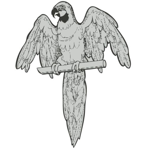 Bird   Parrot Thumbnail