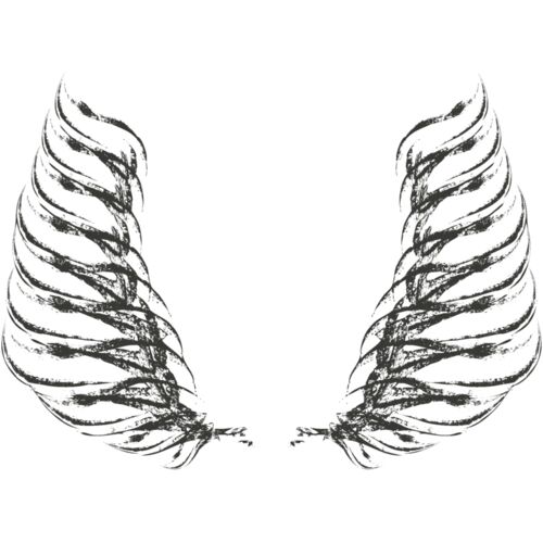 Charcoal Wing 42 Thumbnail